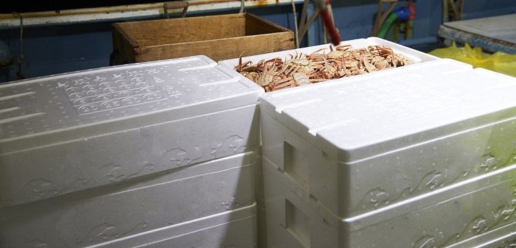 求問毒理未來的前景在何方 ?關(guān)于第三檢測(cè)行業(yè)，食品檢測(cè)、消費(fèi)品檢測(cè)和環(huán)境檢測(cè)，業(yè)務(wù)的開發(fā)方向有什么差異。 