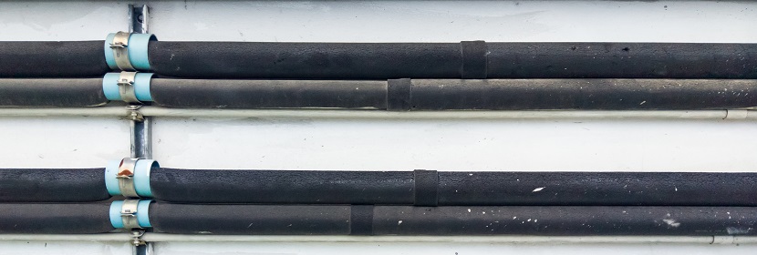 新冠抗體是什么 陽康后為什么要檢測(cè)抗體 ?現(xiàn)代醫(yī)學(xué)是如何檢測(cè)病毒的 