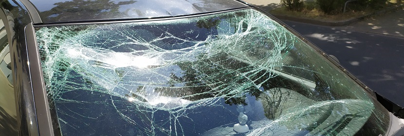 國內抗原檢測試劑盒，哪家比較靠譜呢 ?實驗筆記丨病毒感染細胞實驗的步驟詳解（上卷）