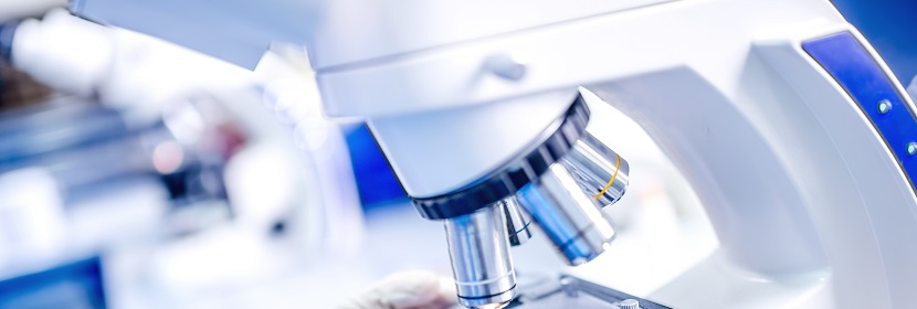 細菌內毒素檢測